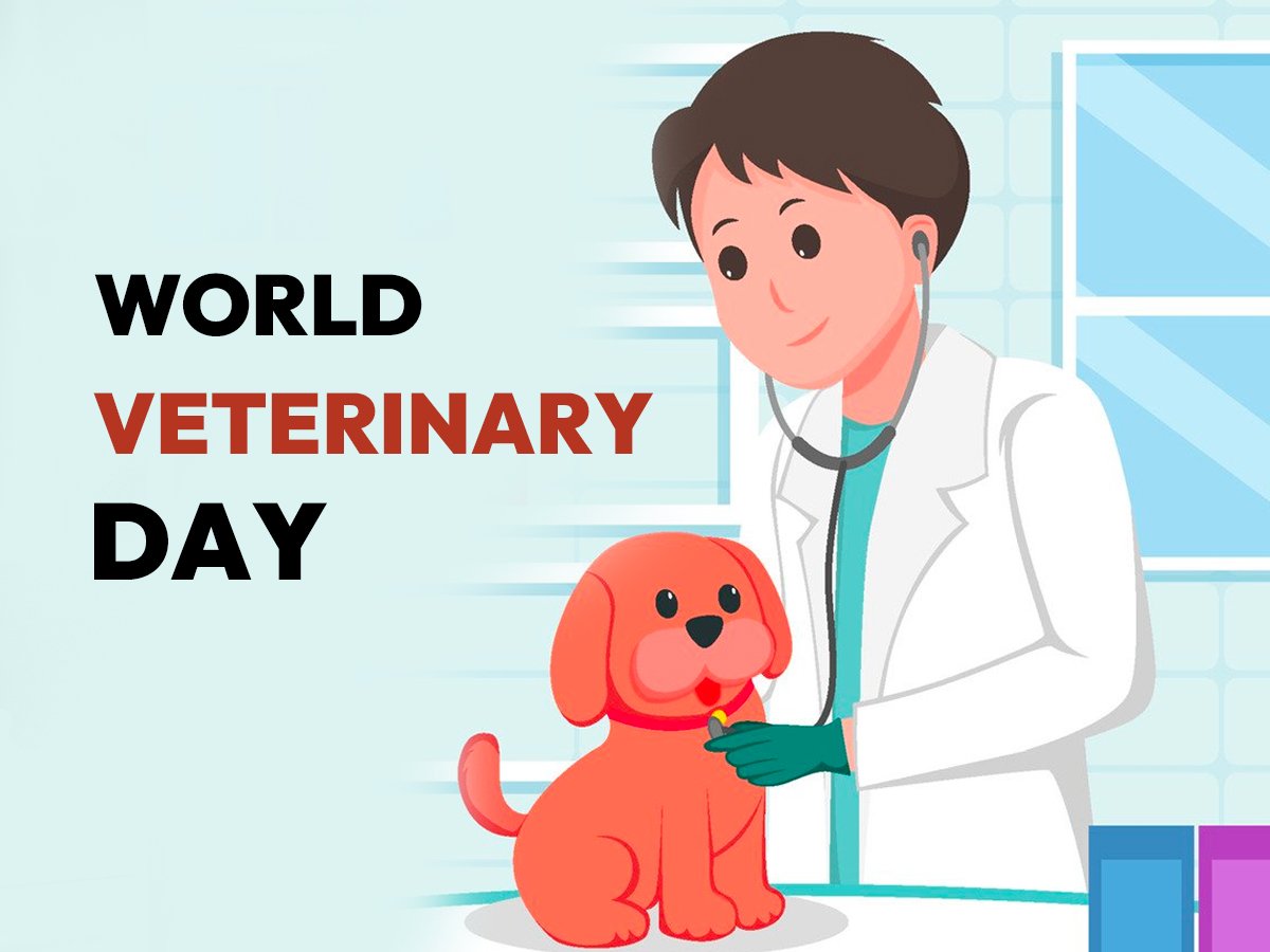 30th April 2024 - World Veterinary Day HD Photos